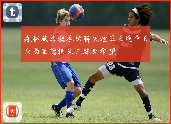 森林狼总裁承诺解决控卫困境今日交易里德换来三球新希望